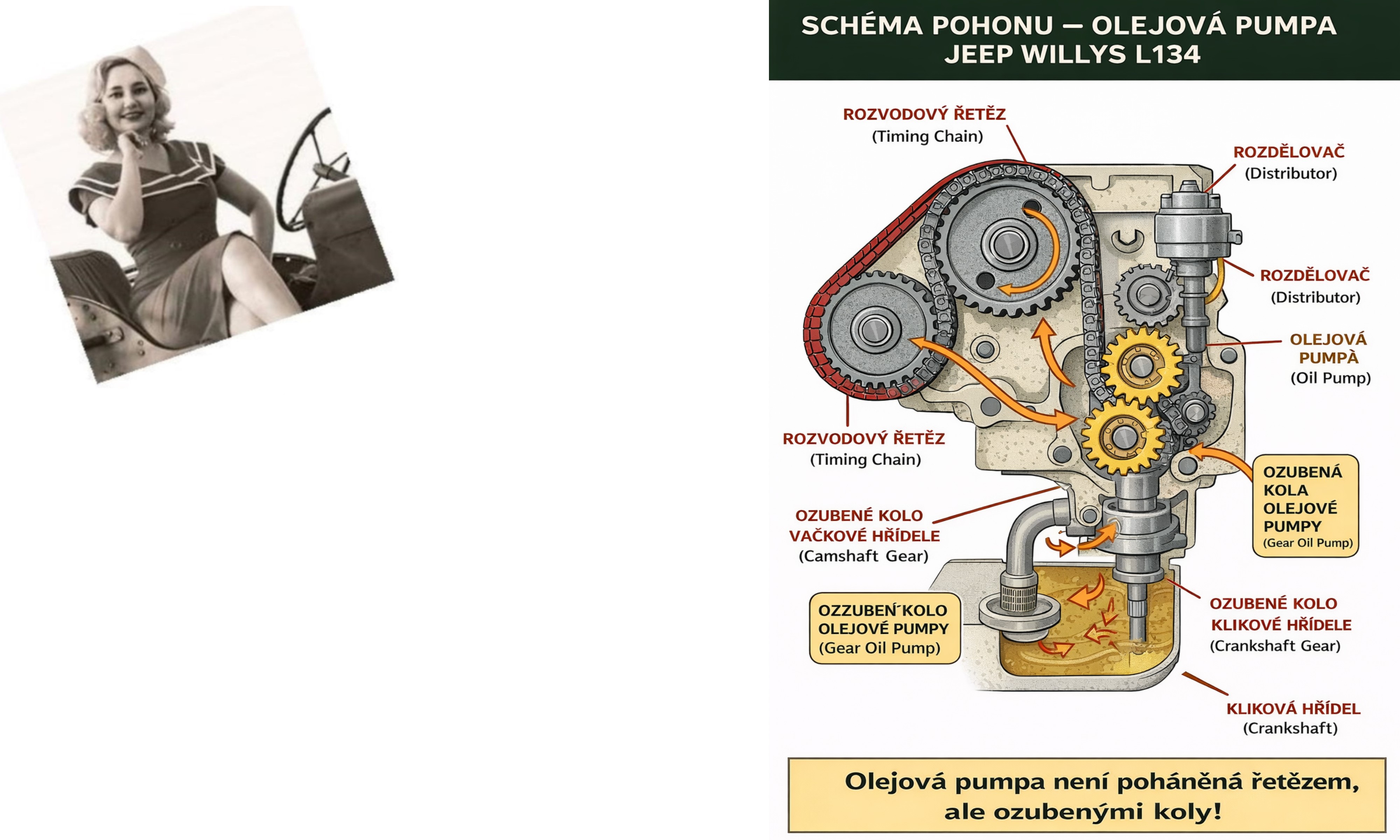 OLEJOVÁ PUMPA ŘETĚZ "F"