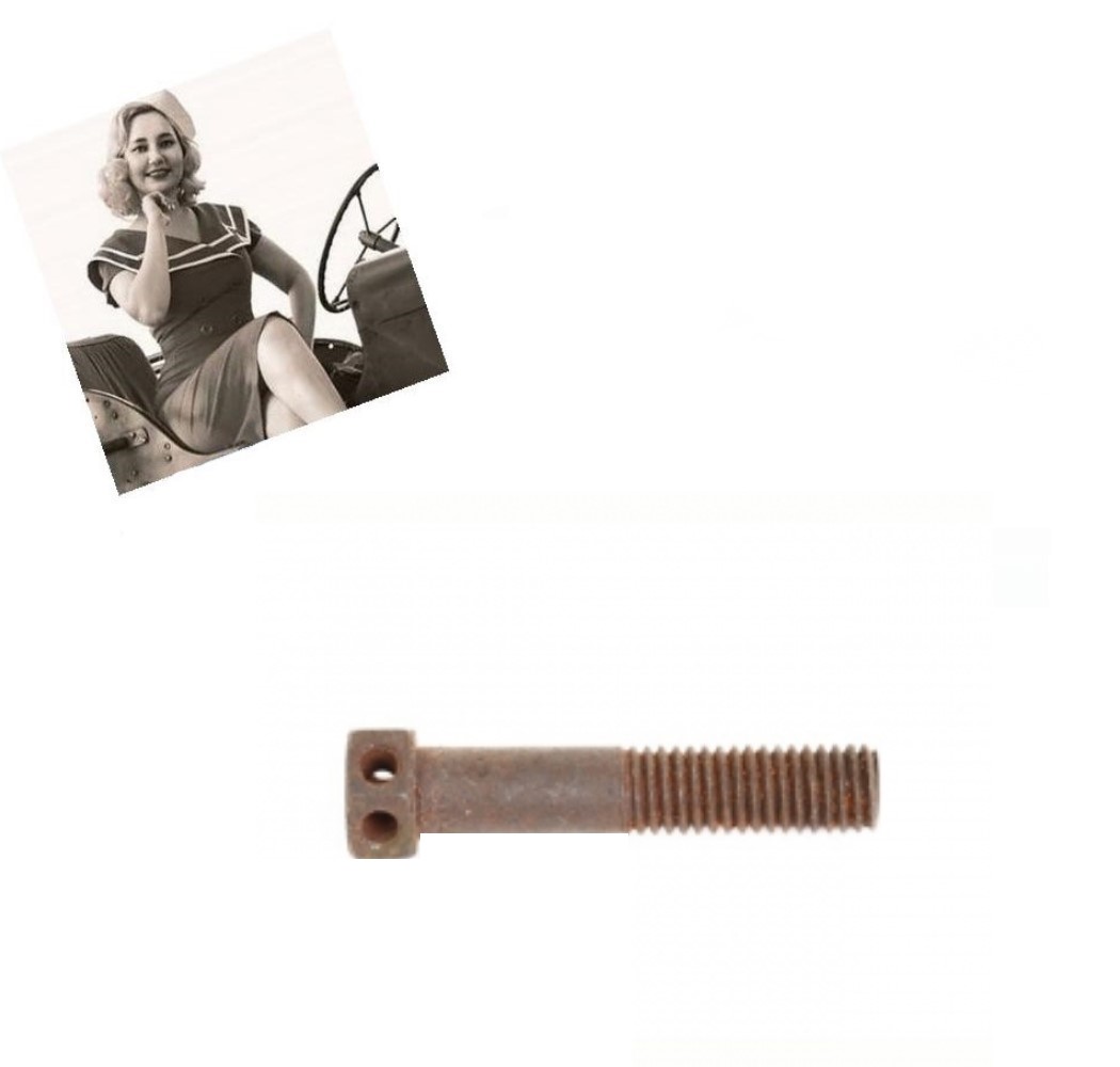 ŠROUB PRO UPEVNĚNÍ BUBNU RUČNÍ BRZDY FaM 3/8-16X2