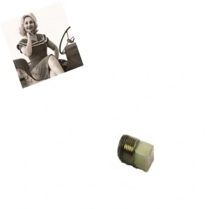 ZÁTKA DOMEČKU ŘÍZENÍ