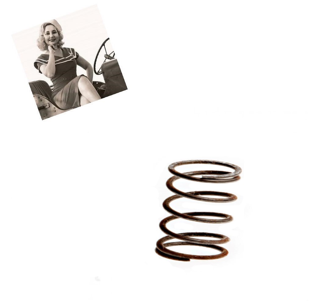 PRUŽINA  BENZÍNOVÉHO FILTRU 