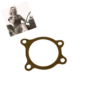 TĚSNĚNÍ VÝSTUPNÍ HŘÍDEL FORD